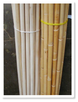 Weiden (ungesch�lt)